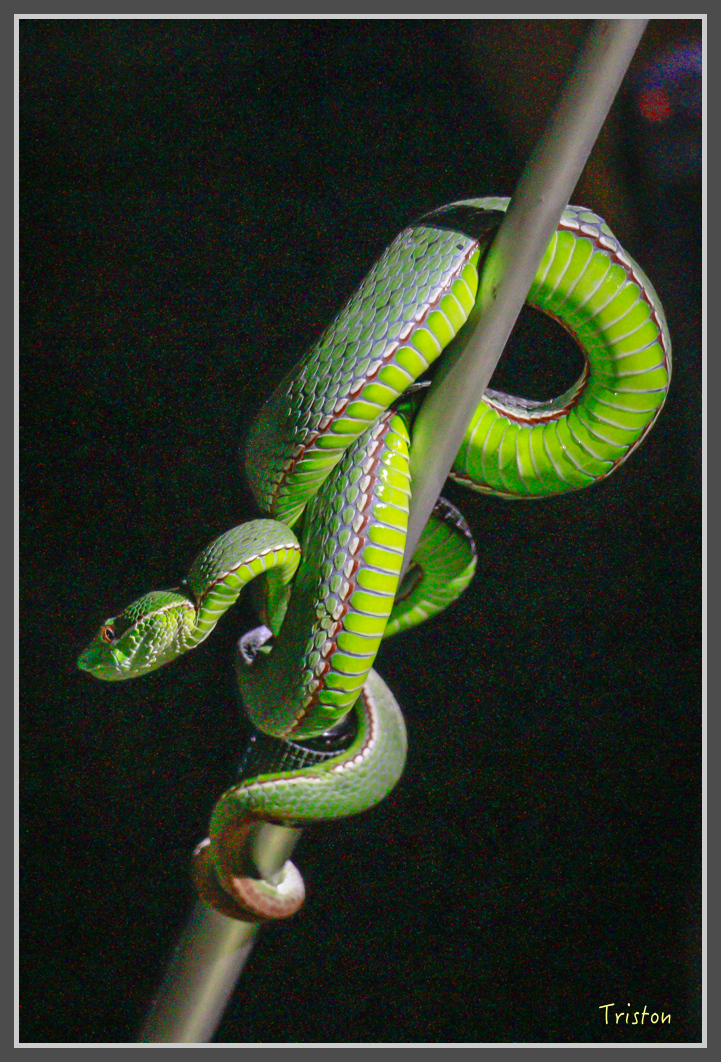 _MG_9319.jpg - 20160717 峰老師夜觀