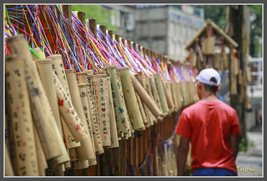 183 JH1A9987.jpg - 20160801 父子親子遊東北角