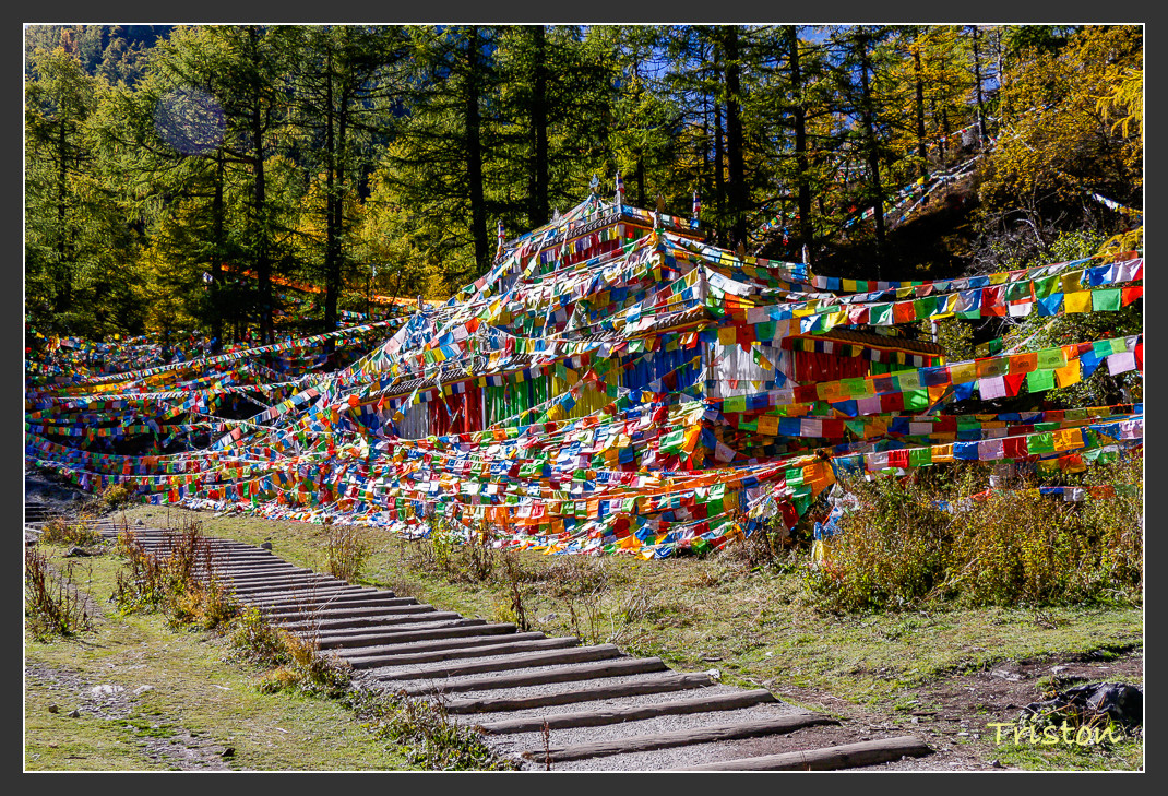 _MG_2027.jpg - 20161013 稻城亞丁