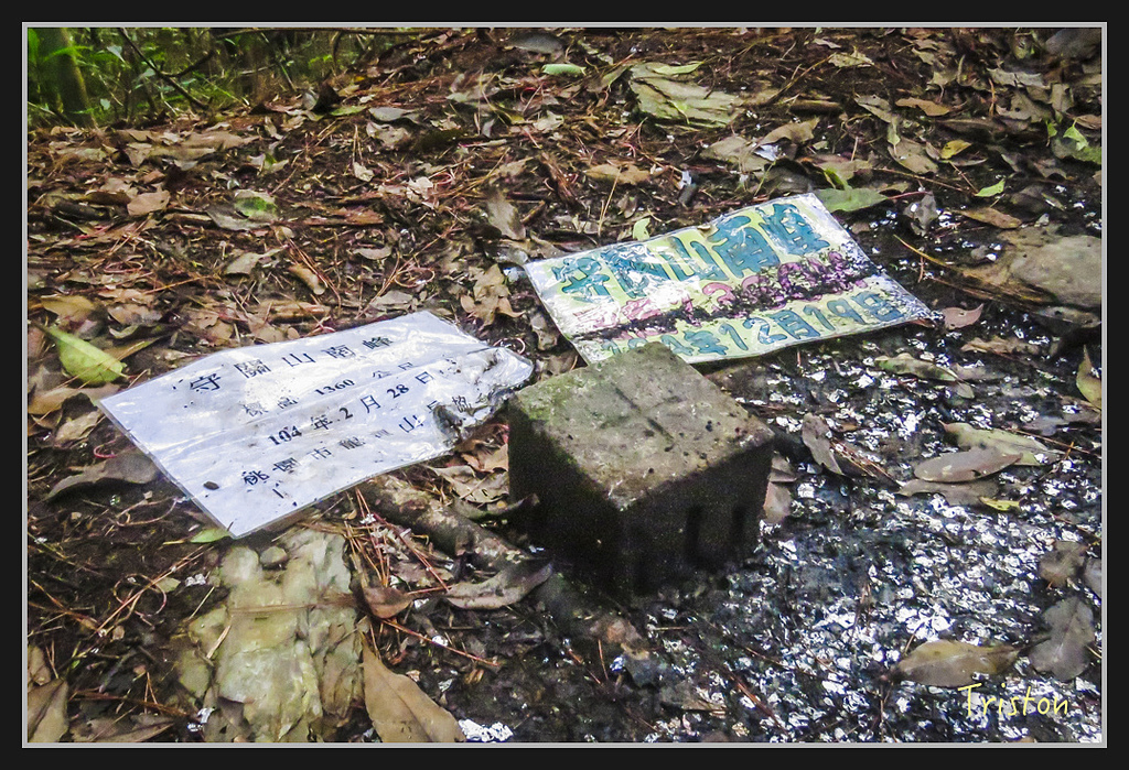 IMG_1456.jpg - 20170318 守關山、守城大山