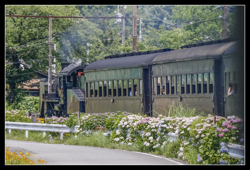 _MG_0386.jpg - 20170702 靜岡東海道之旅