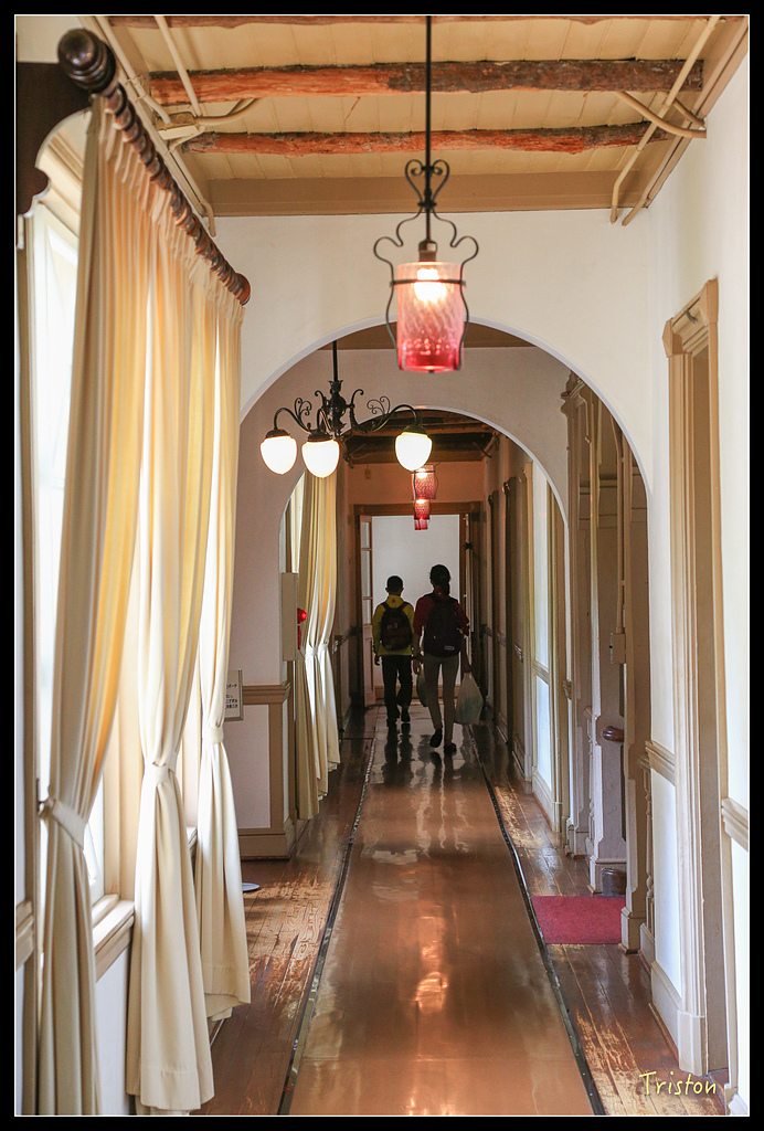 JH1A9442.jpg - 20150628 東京輕井澤日光