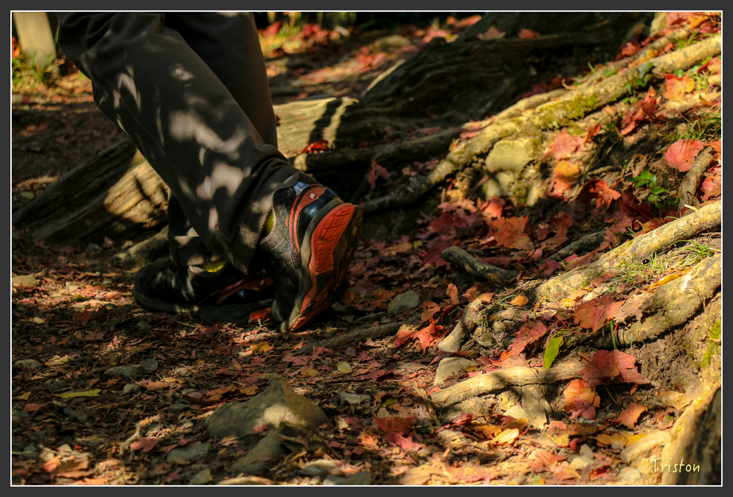 IMG_0674.jpg - 20151219 鳶嘴稍來山、小雪山林道