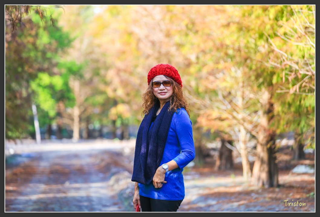 JH1A7962.jpg - 20160101 溪州落羽松 白水湖