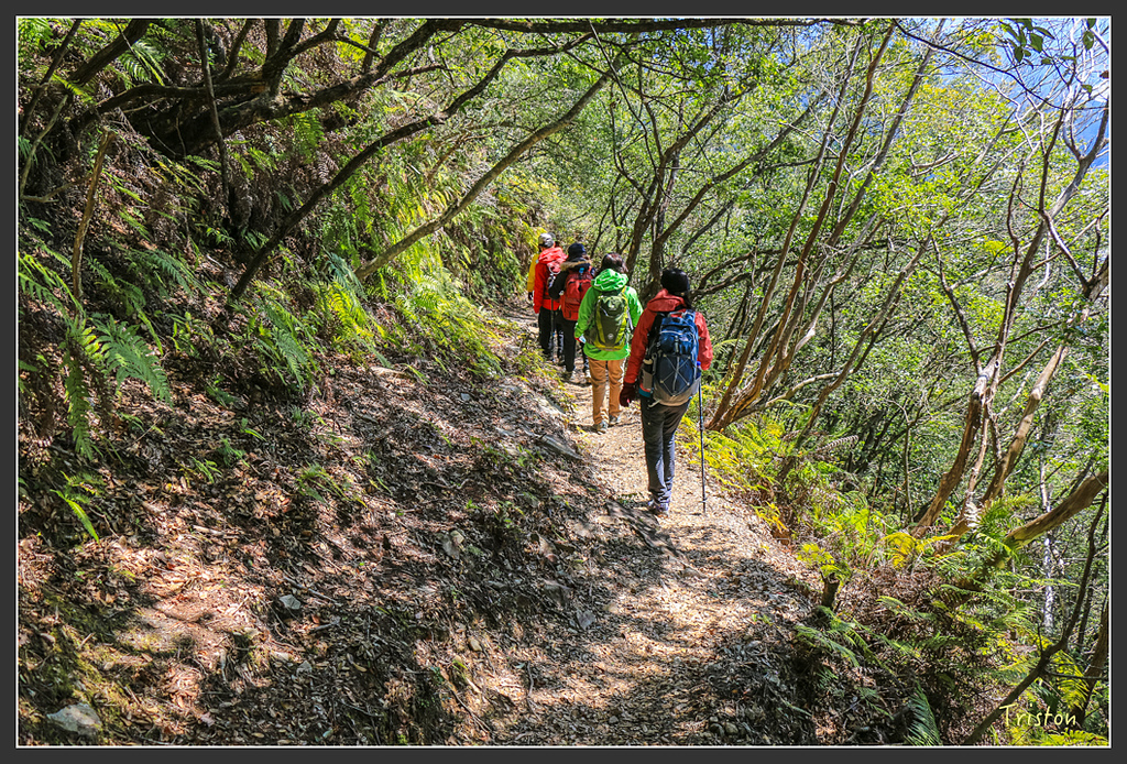 IMG_4786.jpg - 20160323 日本熊野古道健行