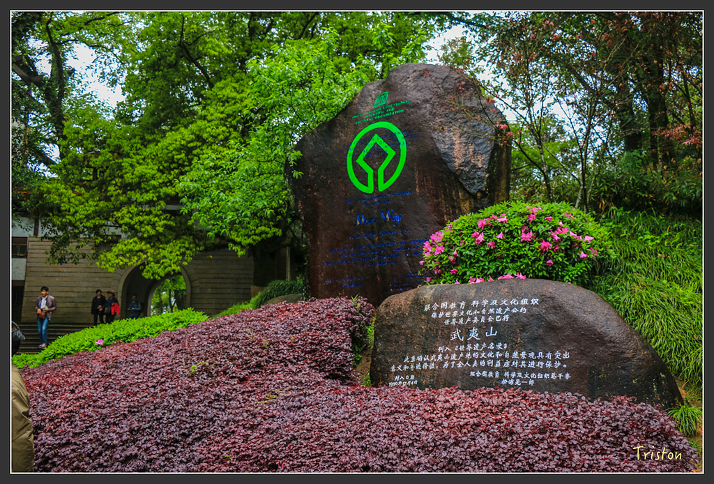 IMG_6482.jpg - 20160409 武夷山之旅