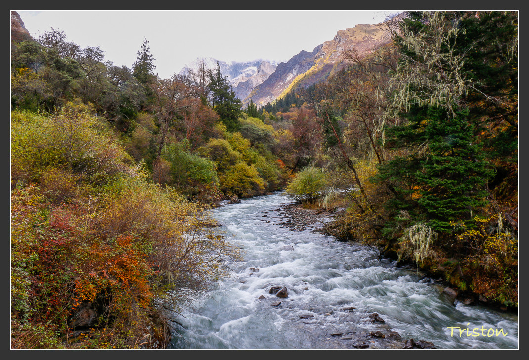 _MG_1051.jpg - 20161013 稻城亞丁