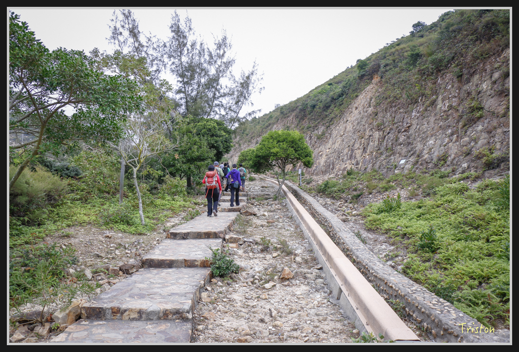 00325.jpg - 20170107 香港健行