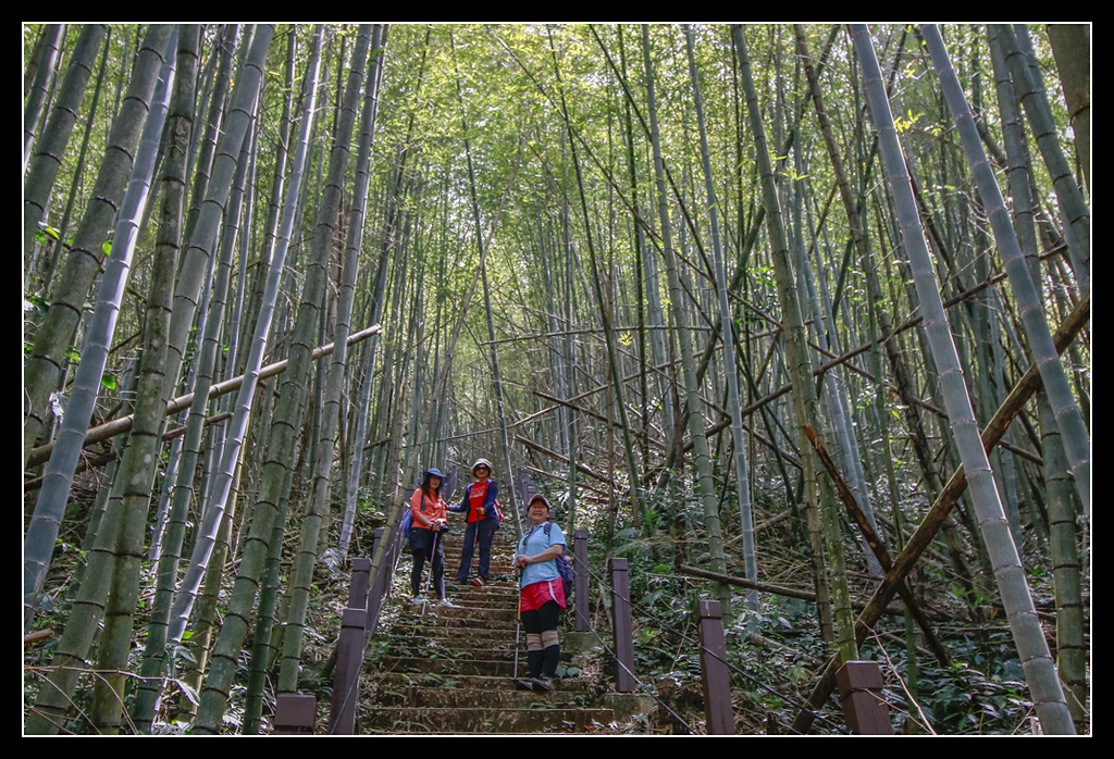 _MG_0129.jpg - 20170408 瑞太古道