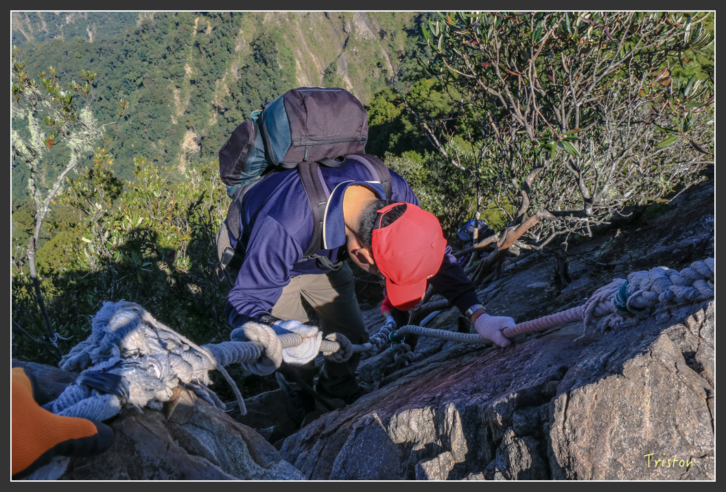 IMG_0558.jpg - 20151219 鳶嘴稍來山、小雪山林道