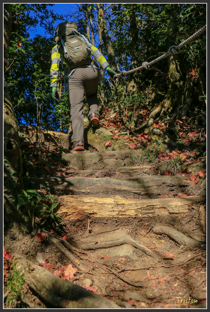 IMG_0673.jpg - 20151219 鳶嘴稍來山、小雪山林道