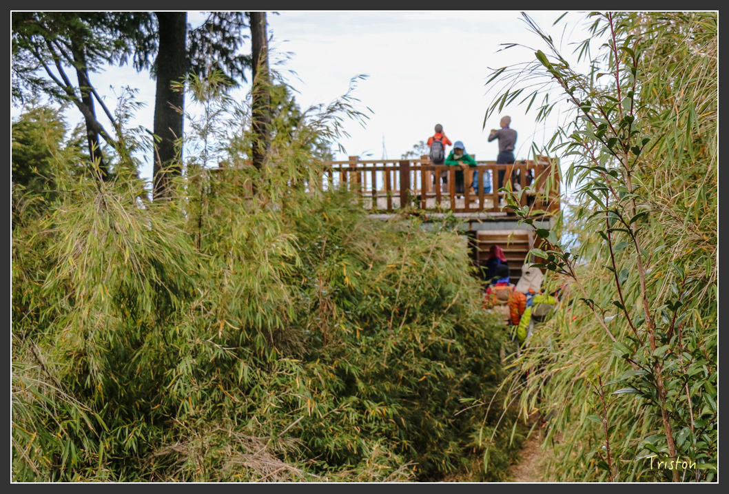 IMG_1075.jpg - 20151219 鳶嘴稍來山、小雪山林道