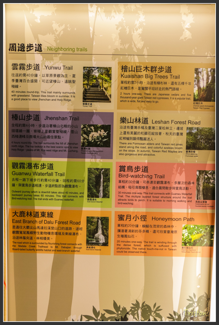 IMG_3236.jpg - 20160227 觀霧森林步道