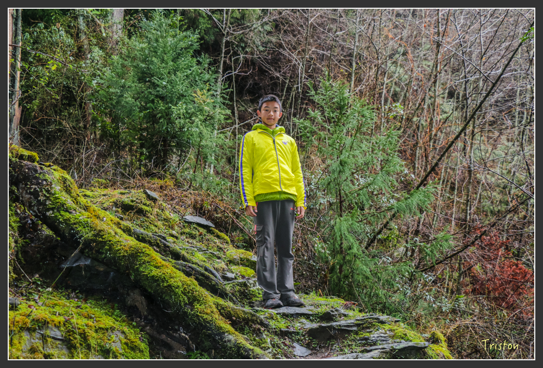 IMG_3281.jpg - 20160227 觀霧森林步道