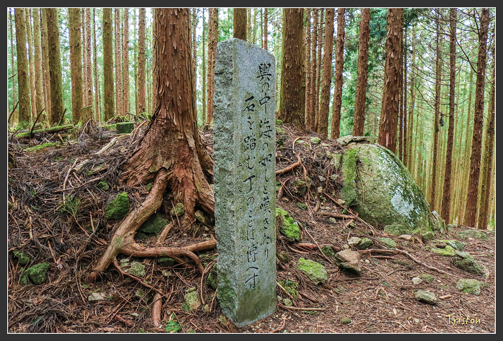 IMG_5457.jpg - 20160323 日本熊野古道健行