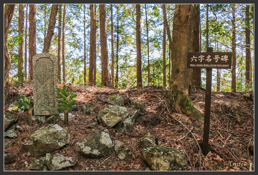 IMG_4747.jpg - 20160323 日本熊野古道健行