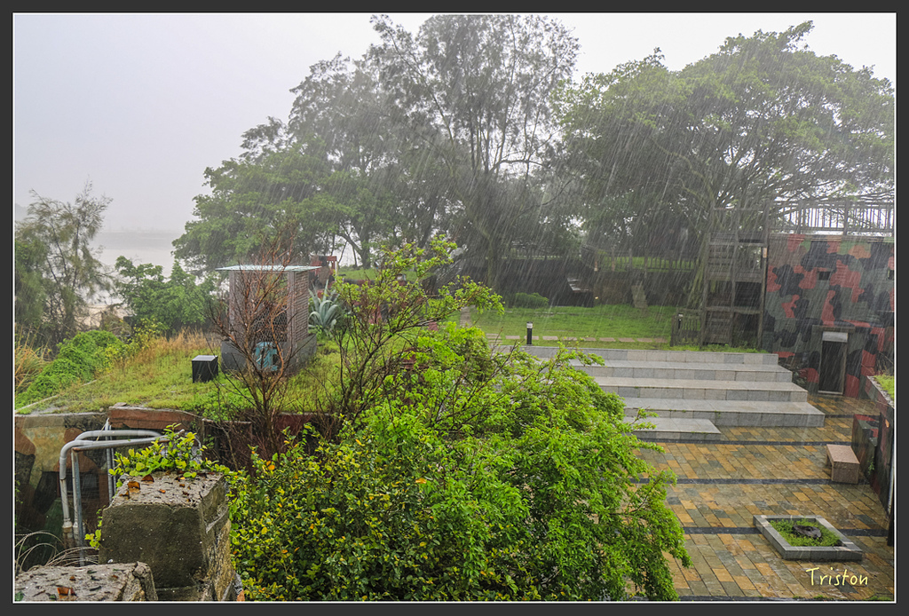 IMG_6935.jpg - 20160409 武夷山之旅