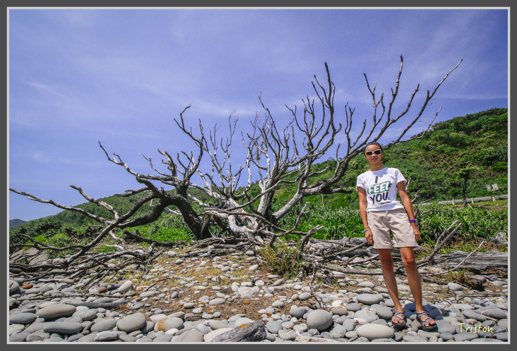 _MG_9532.jpg - 20160729 台東三仙台銀河鹿野熱氣球