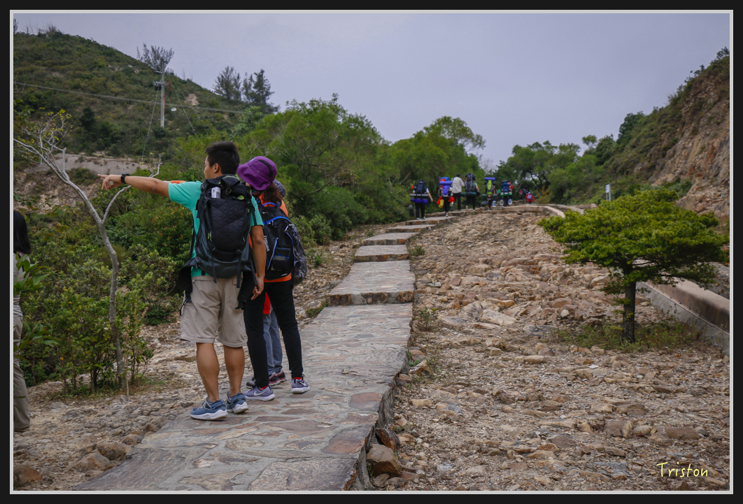 00329.jpg - 20170107 香港健行