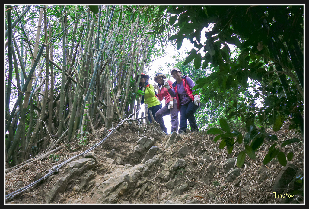 _MG_0620.jpg - 20170114 旗尾山