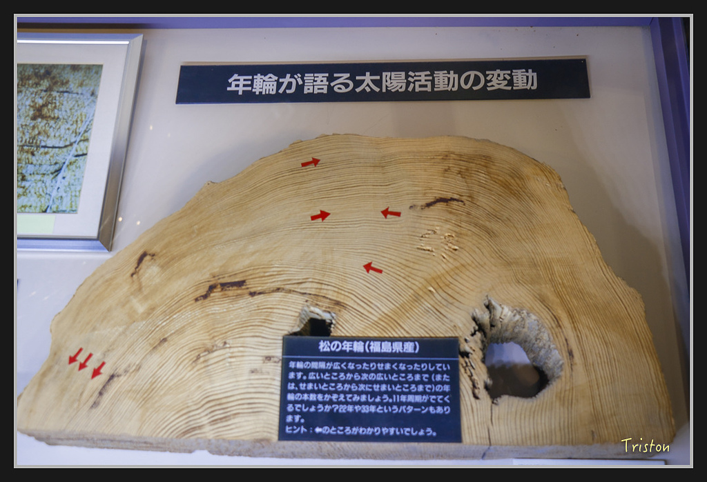 Canon-493.jpg - 20170120 大阪神戶親子遊 