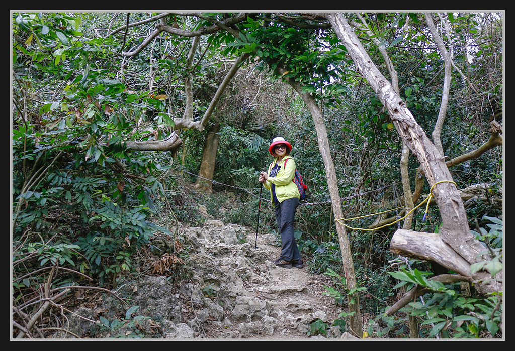 _MG_0030.jpg - 20170205 柴山盤榕雅座路線