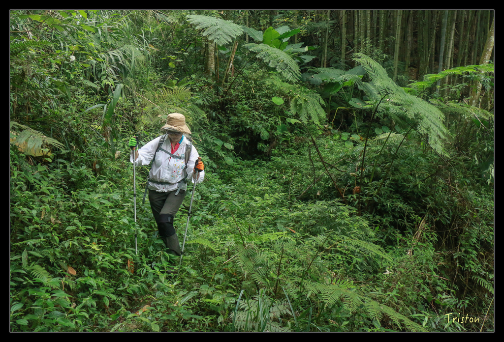 IMG_8489.jpg - 20151012 水社寮,四天王山
