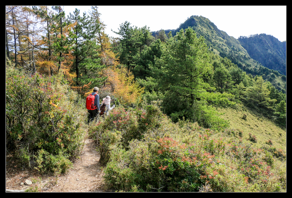 IMG_8608.jpg - 20151017 郡大林道、望鄉山、郡大山