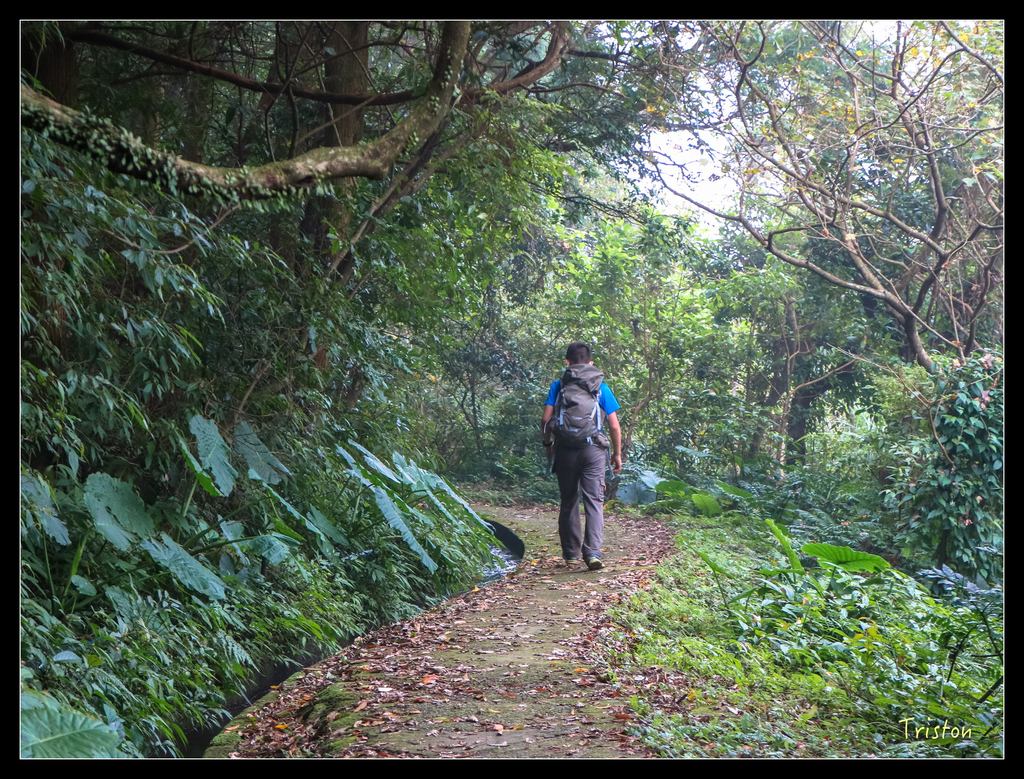 IMG_0587.jpg - 20151107 富士坪古道