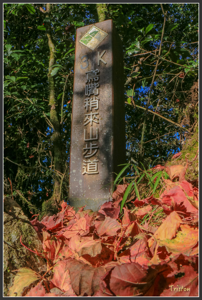 IMG_0680.jpg - 20151219 鳶嘴稍來山、小雪山林道