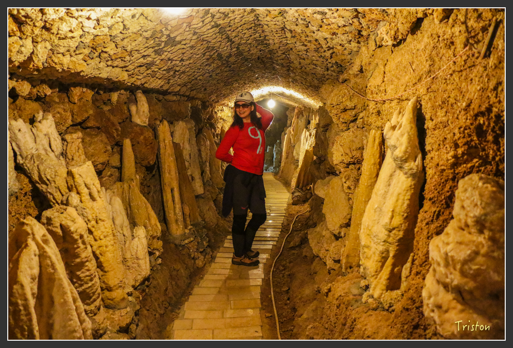 IMG_3221.jpg - 20160220 小崗山健行步道