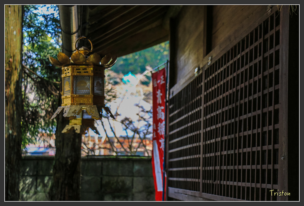 IMG_4485.jpg - 20160323 日本熊野古道健行