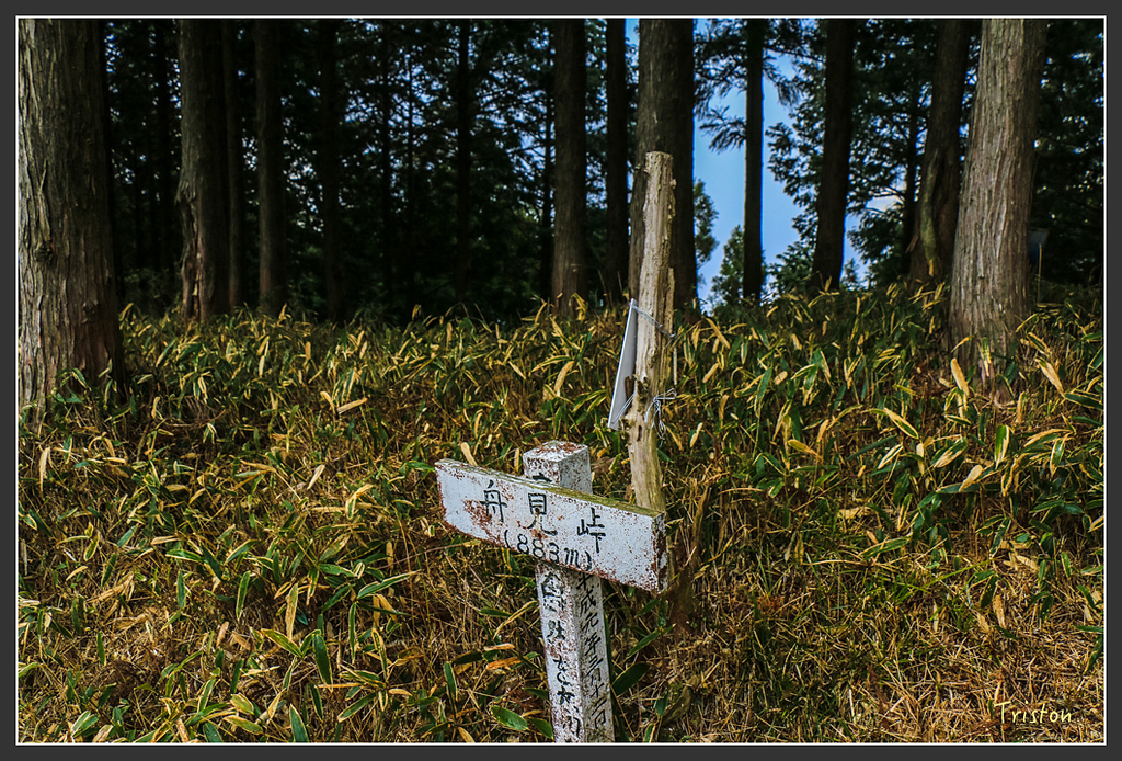 IMG_5561.jpg - 20160323 日本熊野古道健行