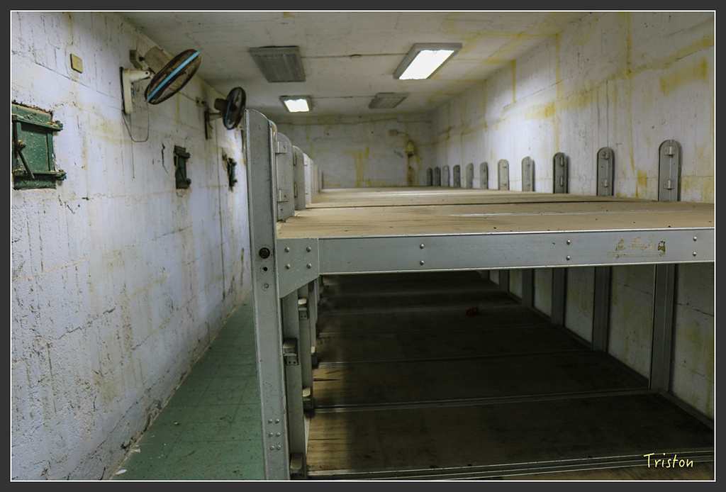 IMG_6931.jpg - 20160409 武夷山之旅