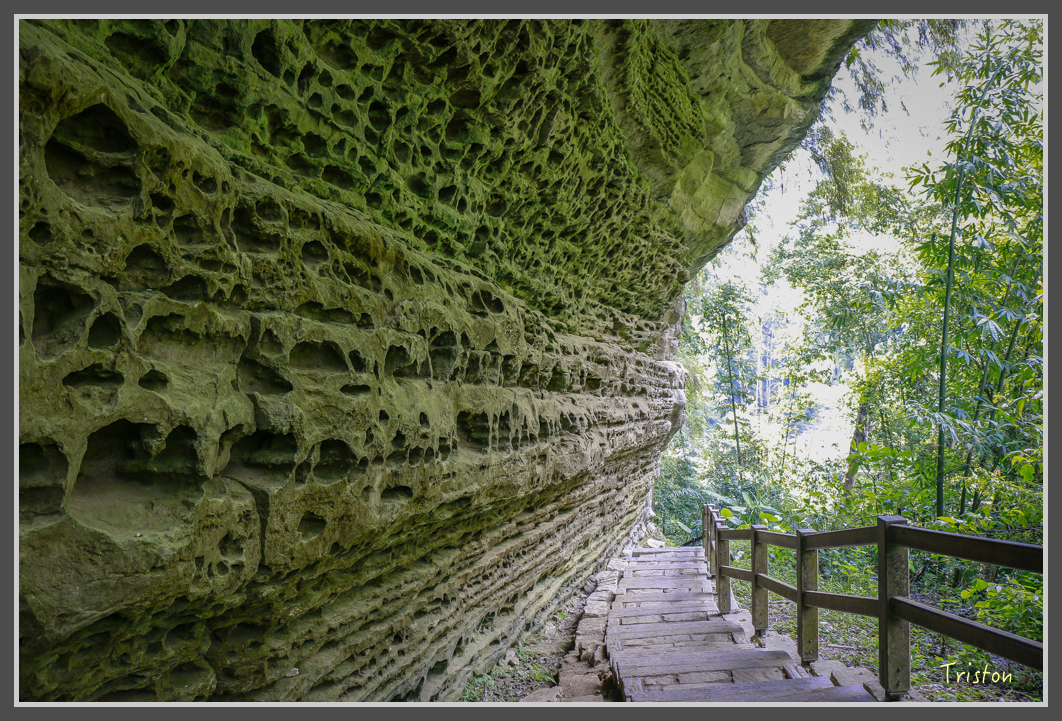_MG_9148.jpg - 20160716 青年嶺步道