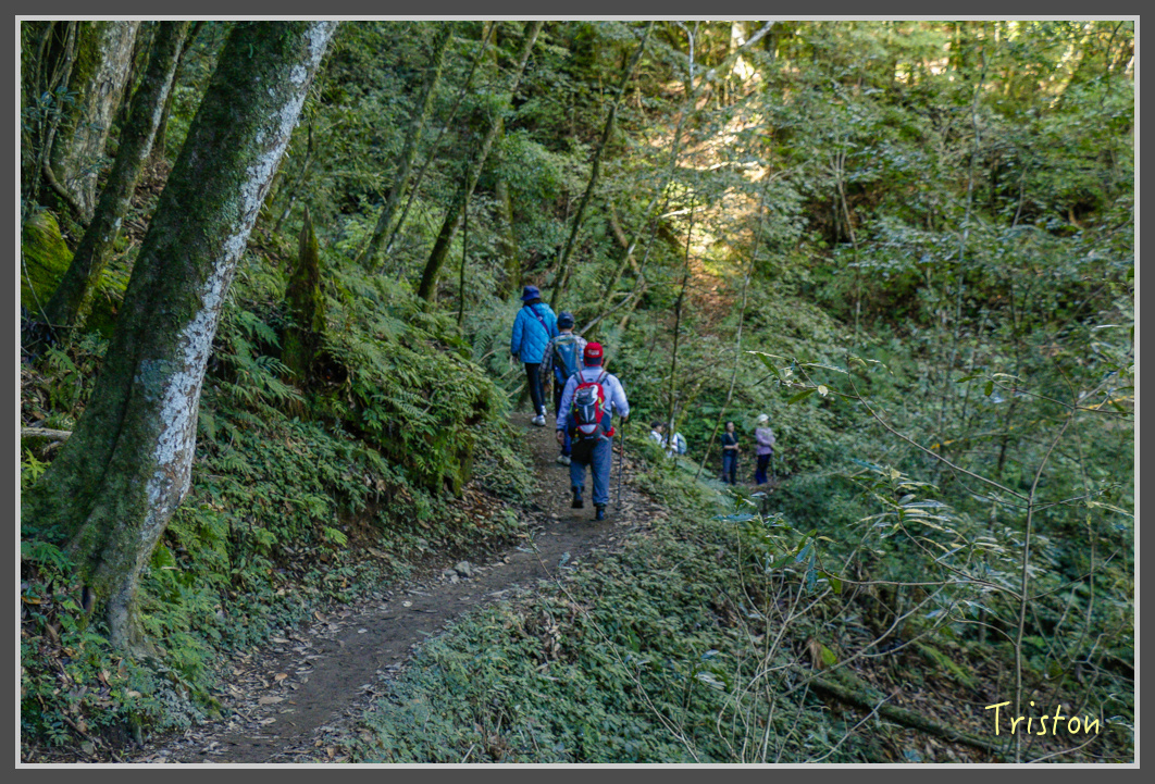 _MG_0372.jpg - 20161203 鎮西堡