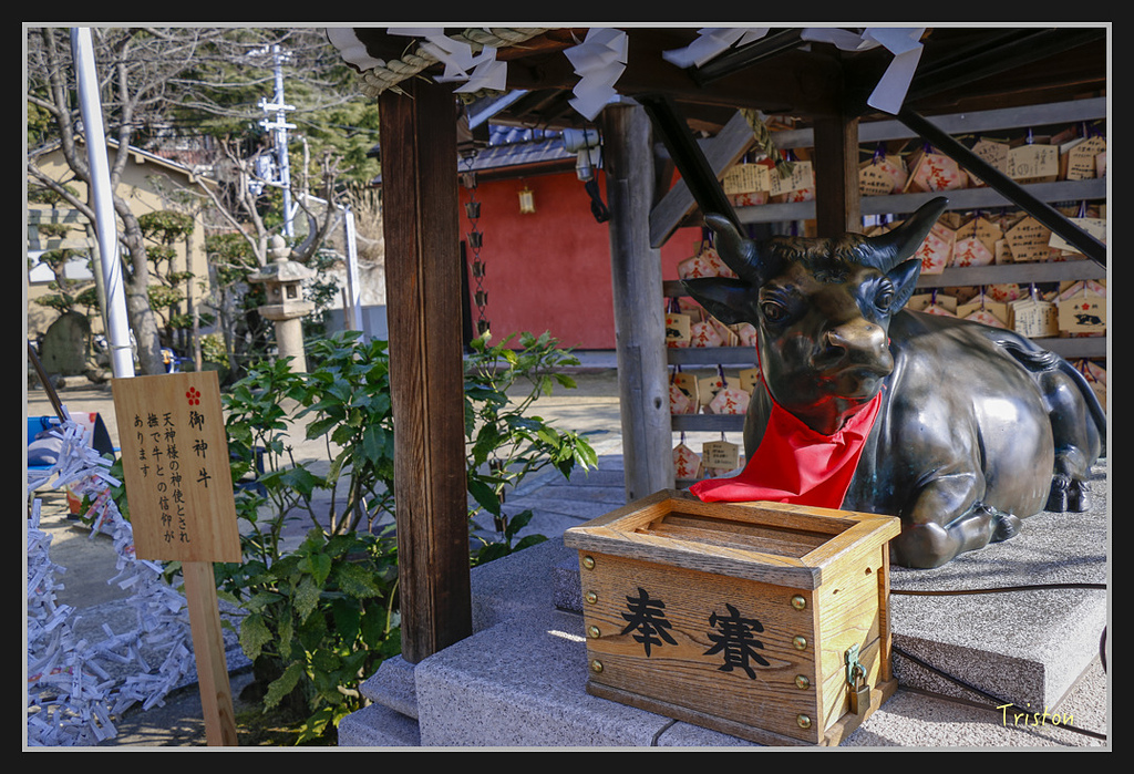 Canon-146.jpg - 20170120 大阪神戶親子遊 