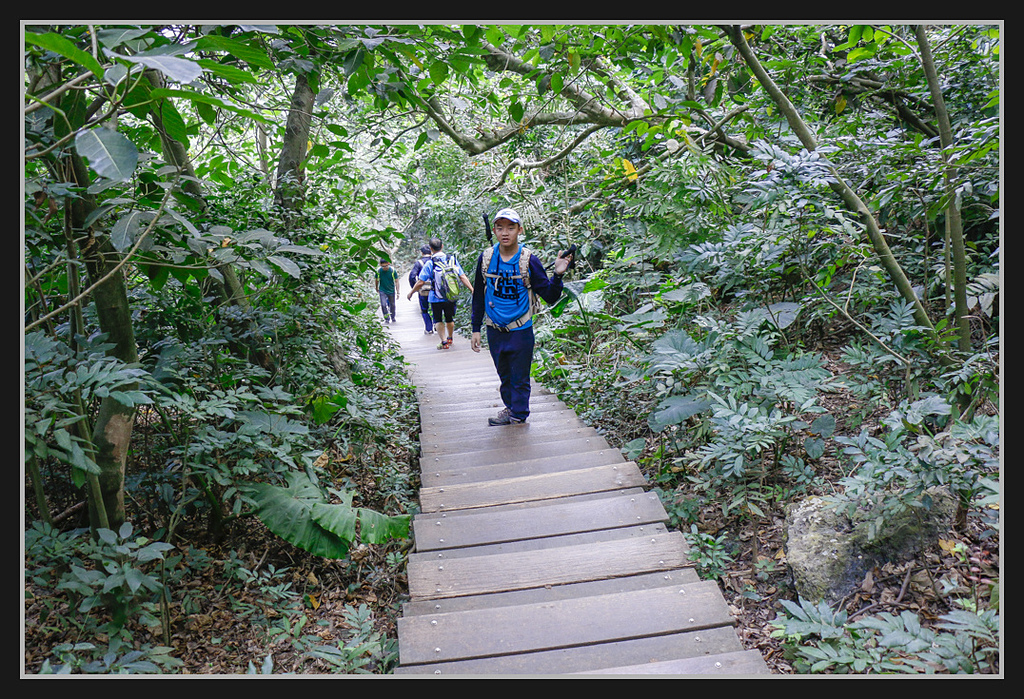 _MG_0070.jpg - 20170205 柴山盤榕雅座路線