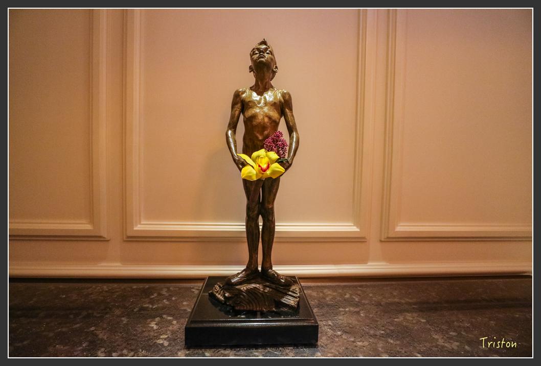 IMG_1651.jpg - 20160210 文華東方和W Hotel