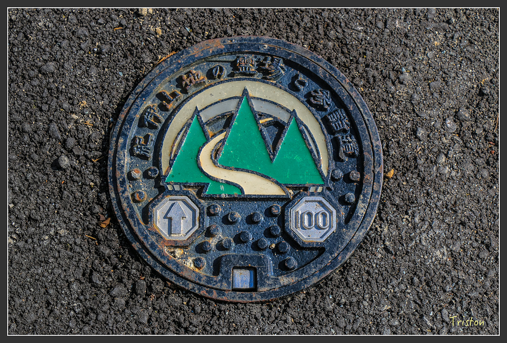 IMG_4857.jpg - 20160323 日本熊野古道健行