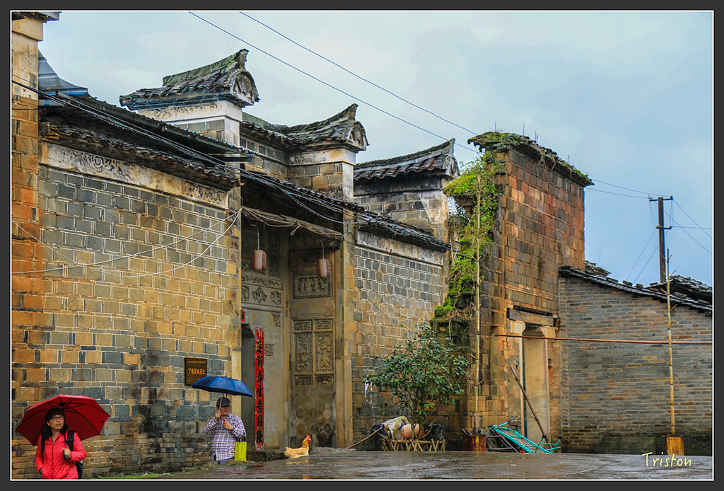 IMG_6720.jpg - 20160409 武夷山之旅