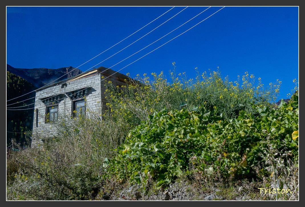 _MG_1631.jpg - 20161013 稻城亞丁