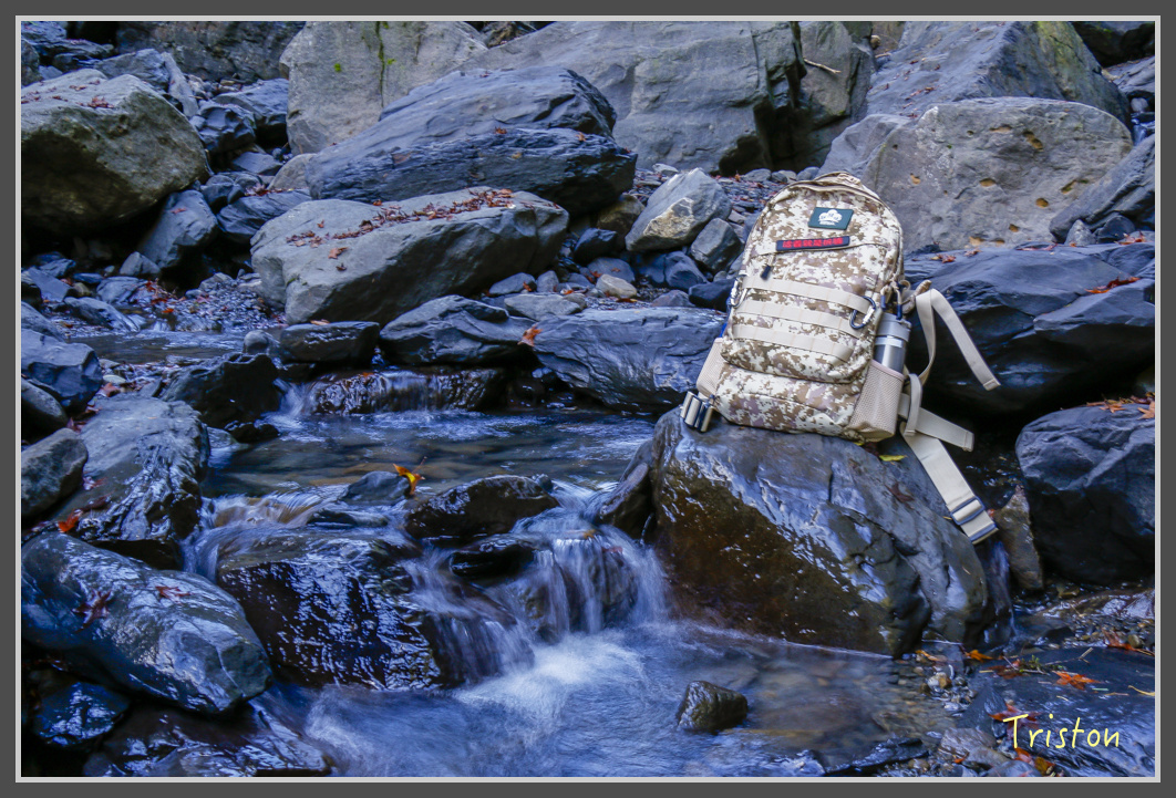 _MG_0393.jpg - 20161203 鎮西堡