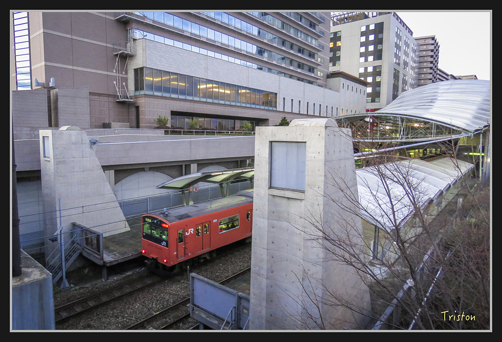 Canon-1036.jpg - 20170120 大阪神戶親子遊 