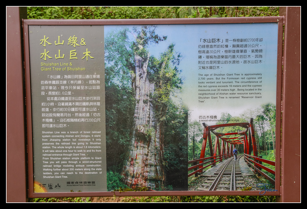 _H1A3665.jpg - 20170425 阿里山+圓潭螢火蟲