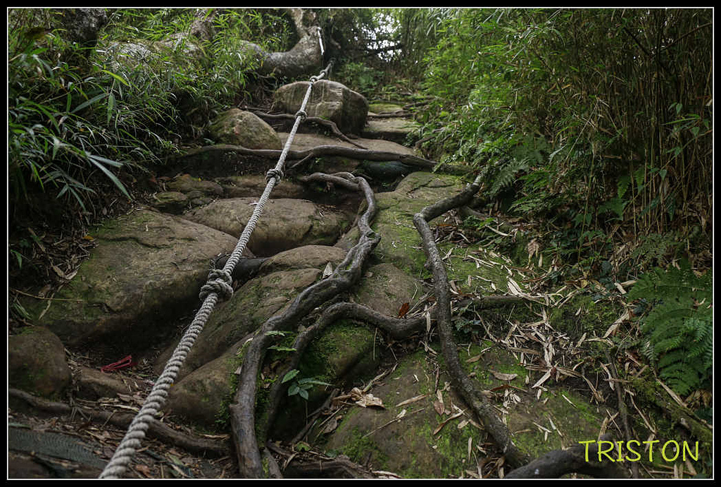 _MG_0099.jpg - 20170920 加里山