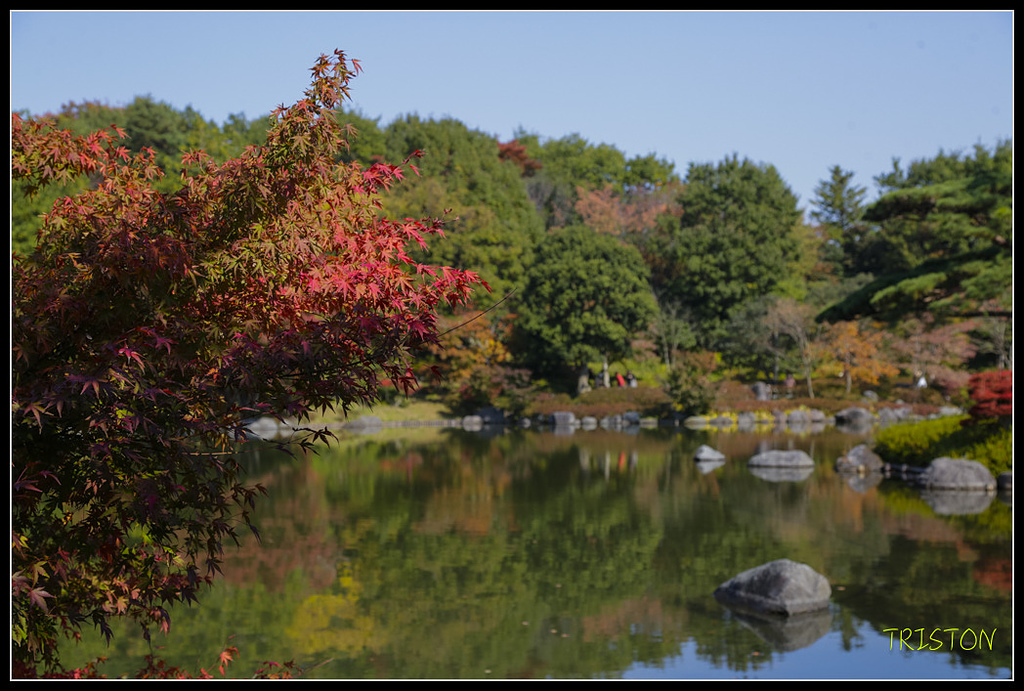 _H1A1769.jpg - 20171103 日本只見線、會津若松五色沼、昭和記念公園賞紅葉