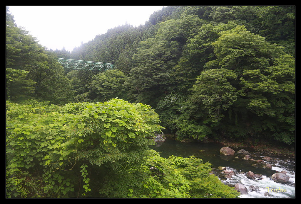 JH1A9717.jpg - 20150628 東京輕井澤日光