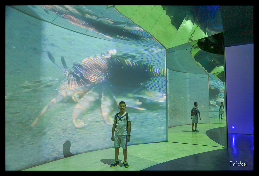 JH1A8211.jpg - 20150814 馬祖之旅