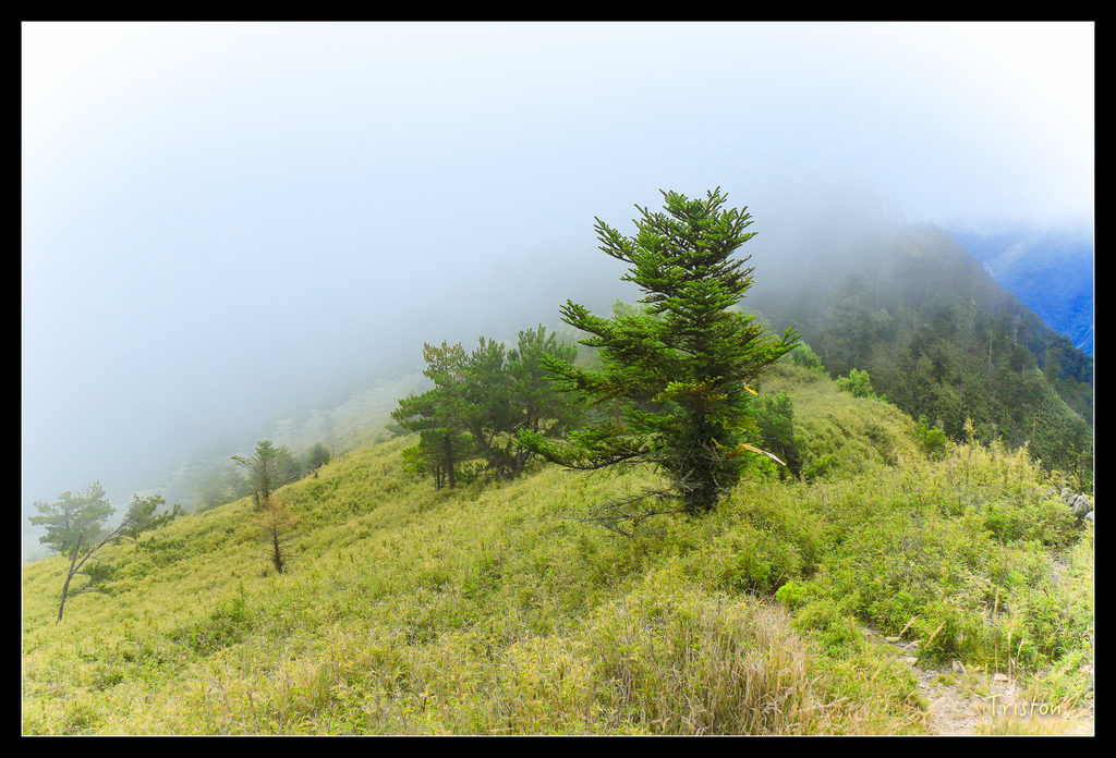 IMG_8650.jpg - 20151017 郡大林道、望鄉山、郡大山